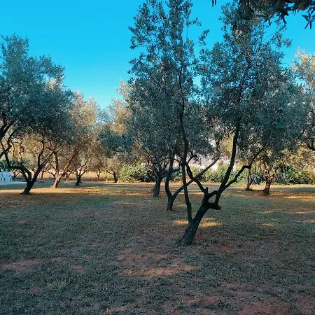 Veramare Apartment Medulin