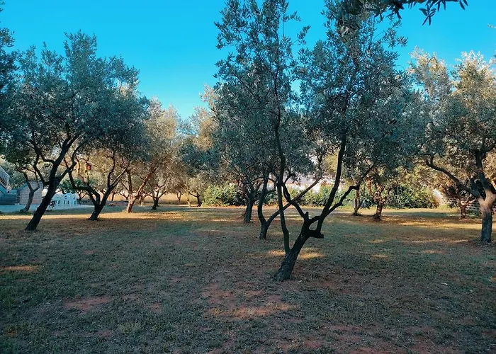 Veramare Apartman Medulin