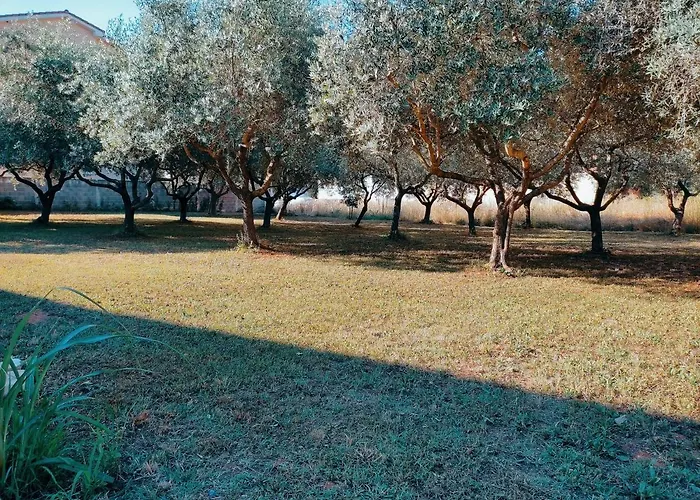 Veramare Apartman